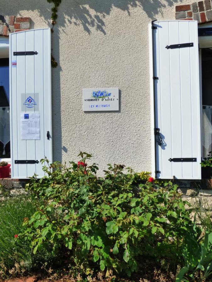Chambres D'Hotes Les Muscaris Feins-en-Gatinais ภายนอก รูปภาพ