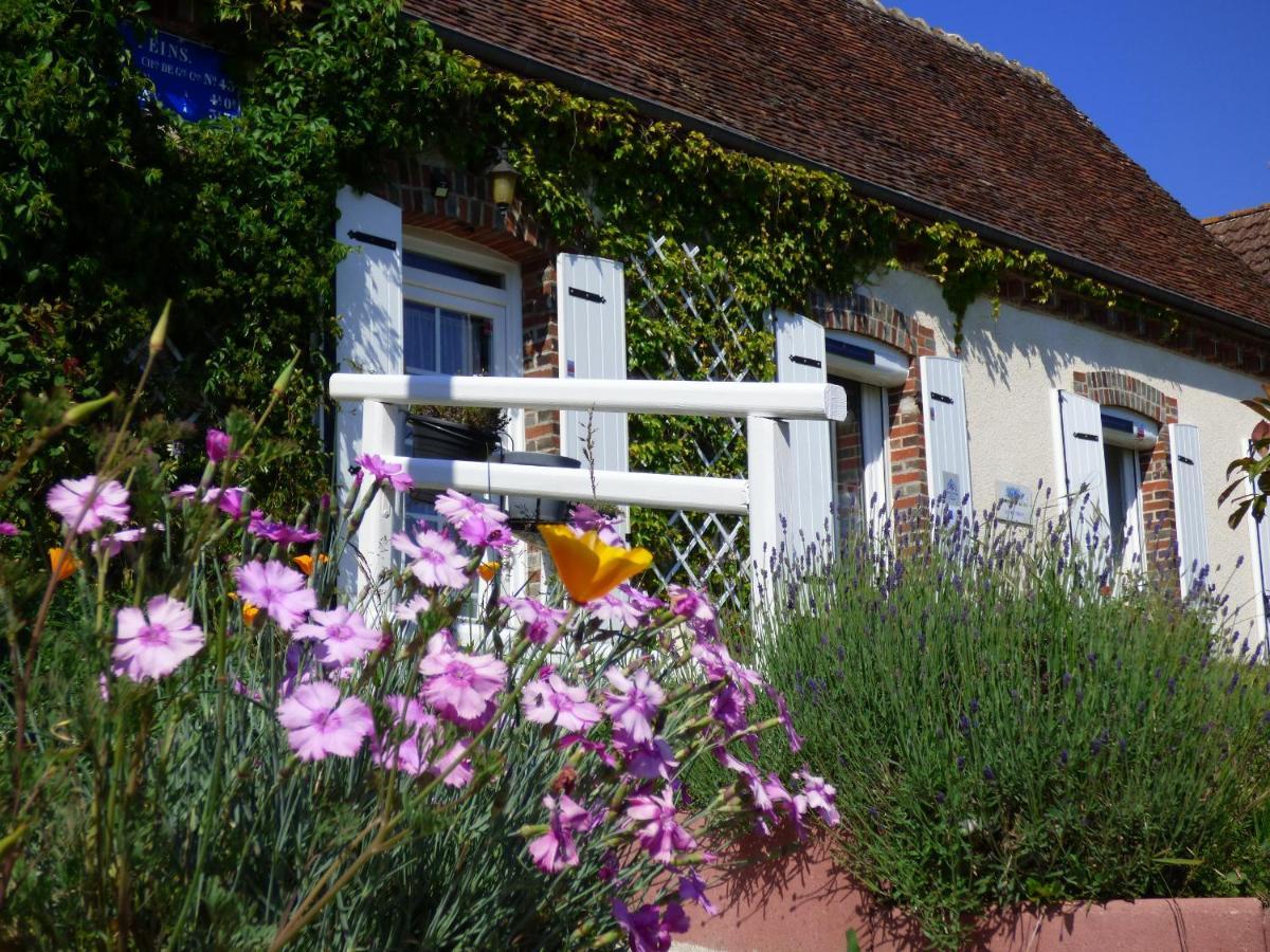 Chambres D'Hotes Les Muscaris Feins-en-Gatinais ภายนอก รูปภาพ