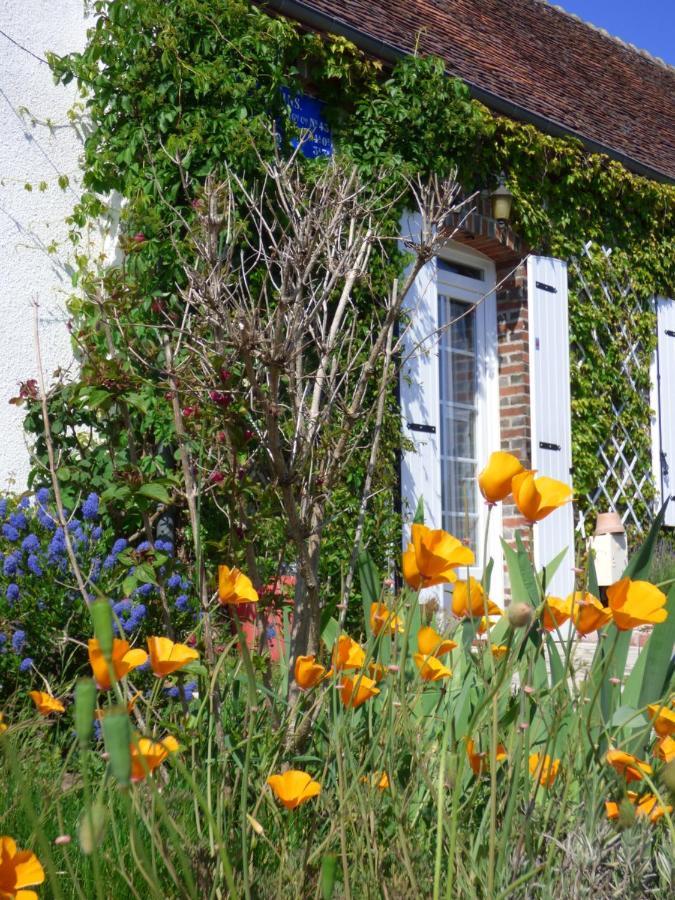 Chambres D'Hotes Les Muscaris Feins-en-Gatinais ภายนอก รูปภาพ