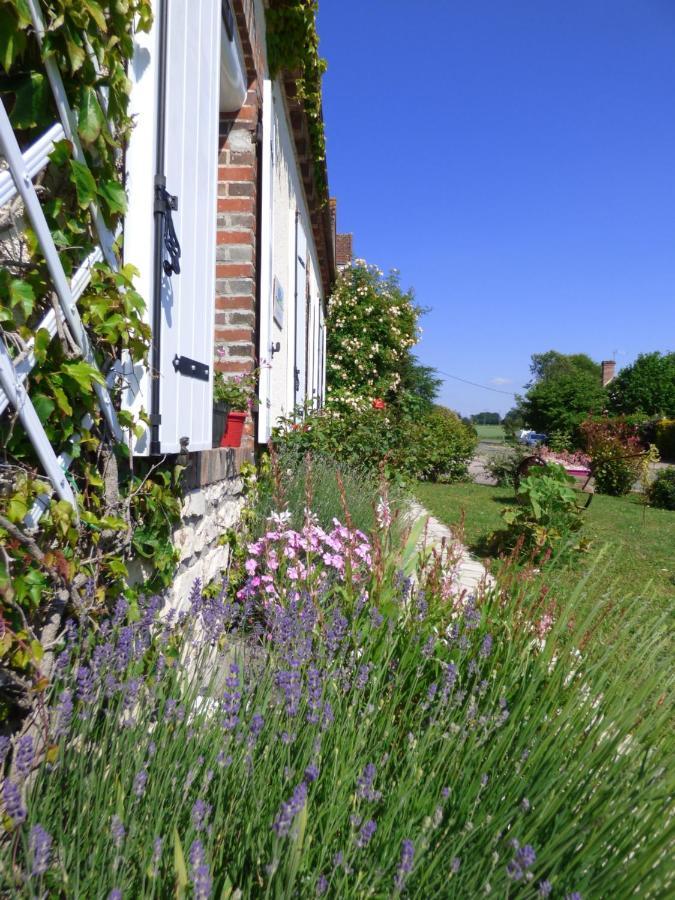 Chambres D'Hotes Les Muscaris Feins-en-Gatinais ภายนอก รูปภาพ