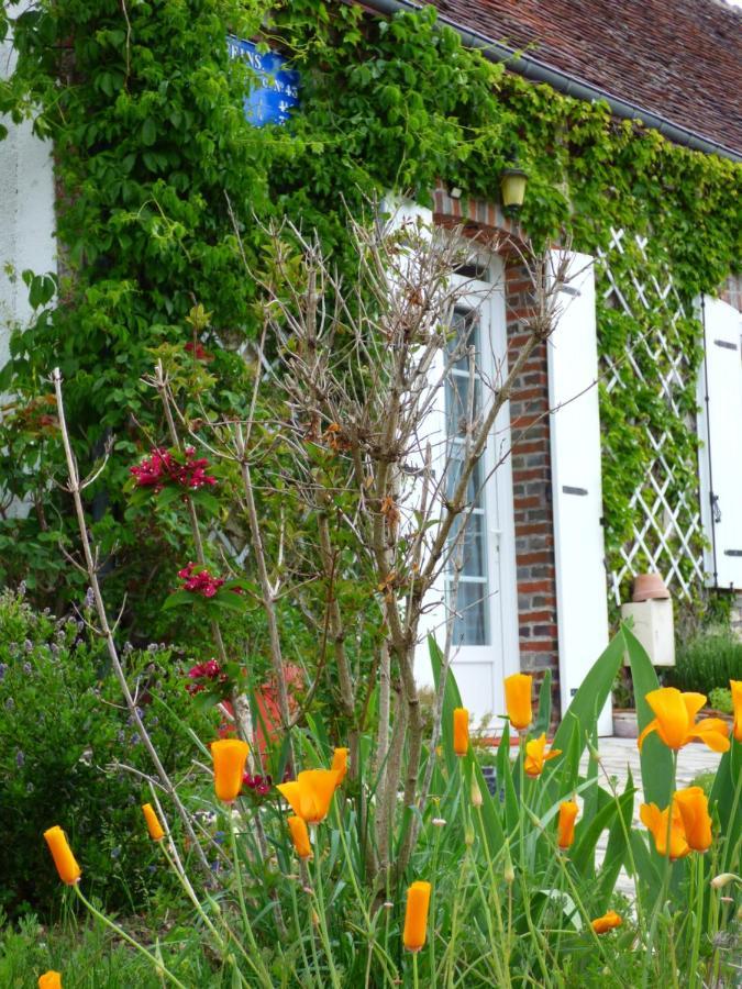 Chambres D'Hotes Les Muscaris Feins-en-Gatinais ภายนอก รูปภาพ